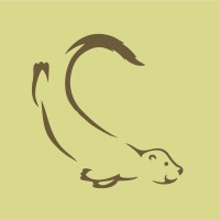 Otter Audit and Consultancy Services Ltd logo - Similar company to Apex Tcd (Recruitment) Limited