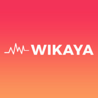 Wikaya logo - Similar company to Ibtekar - ابتكار