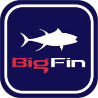 Big Fin Fishing logo - Similar company to The Artist Post, Inc.