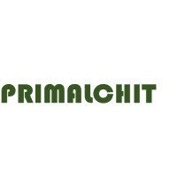 PRIMALCHIT SOLUTIONS logo - Similar company to Aset