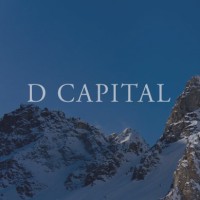 D Capital logo - Similar company to Dcapital