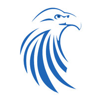 Falcon International logo - Similar company to Prosenjit Das