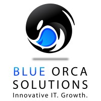 Blue Orca Solutions Inc. logo - Similar company to Prismteck Creative