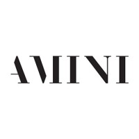 Amini Carpets logo - Similar company to Amini Group