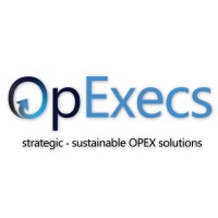 Opexecs logo - Similar company to Plain English Technology Services