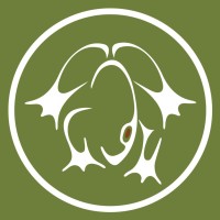 Formline Architecture + Urbanism logo - Similar company to Temporary Office
