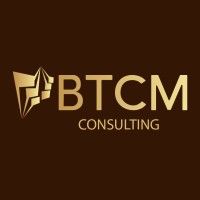 BTCM Consulting logo - Similar company to Level 3 Bos