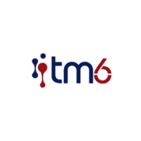 TM6 logo - Similar company to Simples Solução Ti