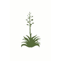 Century Ventures logo - Similar company to Athis Technologies, Ltd
