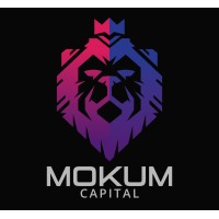 Mokum Capital logo - Similar company to Neko Solutions