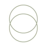 consens beratung ag logo - Similar company to Zahlenmacher Ag