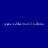 Webbers World logo - Similar company to Hidegram