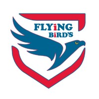 FLYiNG BiRDS logo - Similar company to Moongfalimedia
