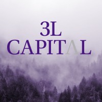 3L Capital logo - Similar company to 2L Capital