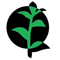 Rebel Cultures logo - Similar company to Vitro Plus Bv