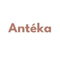 Antéka logo - Similar company to Getting To Global
