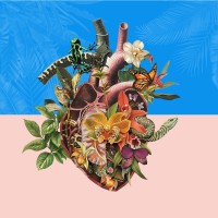 THE BLUEPRINT WITHIN logo - Similar company to Workrobe