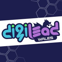 DigiLead Wales logo - Similar company to Visvira