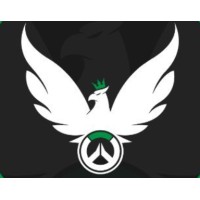 Overwatch World Cup - Saudi Arabia National Team
