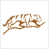 Tigerberg AG