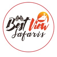 Best View Safaris logo - Similar company to K