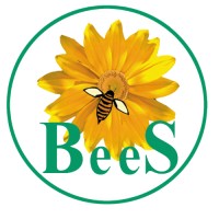 BeeS Software Solutions Pvt. Ltd logo - Similar company to Alys Dg