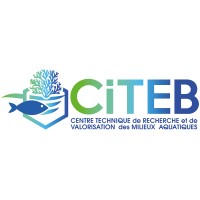 Citeb logo - Similar company to Radek Systems