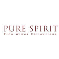 Pure Spirit SA logo - Similar company to Udry Construction Sa
