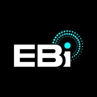 EBI Bone Stimulator logo - Similar company to Mad Studio, Llc