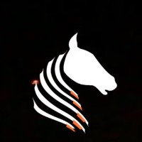 Rockland Digital Inc. logo - Similar company to Altaana Essential
