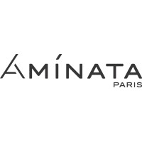 Aminata Paris logo - Similar company to Cabinet Avia