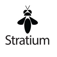 Stratium logo - Similar company to Radiant Abilities, Llc