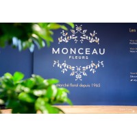 Monceau Fleurs La Rochelle logo - Similar company to Youfid