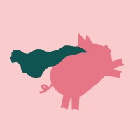 Rozbité prasátko logo - Similar company to Vimvic.Cz