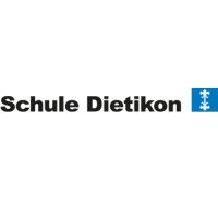 Schule Dietikon logo - Similar company to Schule Papillon