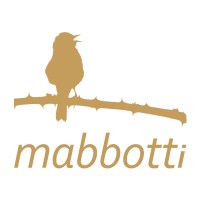 MABBOTTI logo - Similar company to Empeengineering Academy - Página Oficial