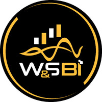 W&S BI logo - Similar company to Tvf Software