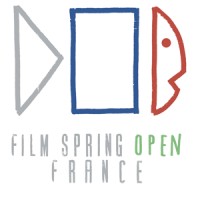 Film Spring Open France logo - Similar company to Film Spring Open Foundation