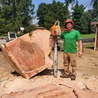 Lewis Burns Tree Service logo - Similar company to Cutters Edge Total Landscape Solutions