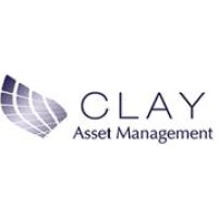 Clay Asset Management logo - Similar company to Moby Conseil