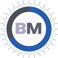 Balanced Media logo - Similar company to Scalingwise Llc