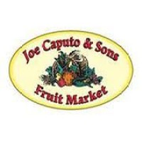 Joe Caputo and Sons logo - Similar company to Airoveda