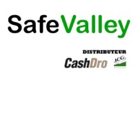 SafeValley logo - Similar company to Ins (Innovation Nanomaterials & Strategy)
