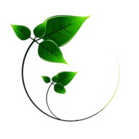 Debra Marsh Naturopath