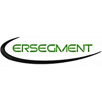 Ersegment Solutions Pvt Ltd logo - Similar company to Archsecurity