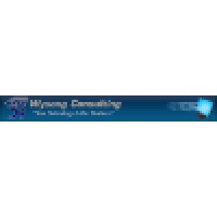 Wysong Consulting