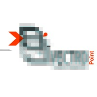 VECTROPOINT logo - Similar company to Imprimerie Offset Numerique