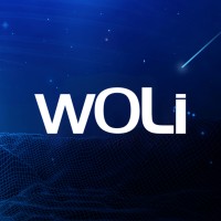 Woli logo - Similar company to Webdecisor