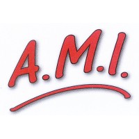 Aide Mutuelle à l'Insertion logo - Similar company to Amfpad