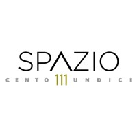 Spazio111 logo - Similar company to Security Hub